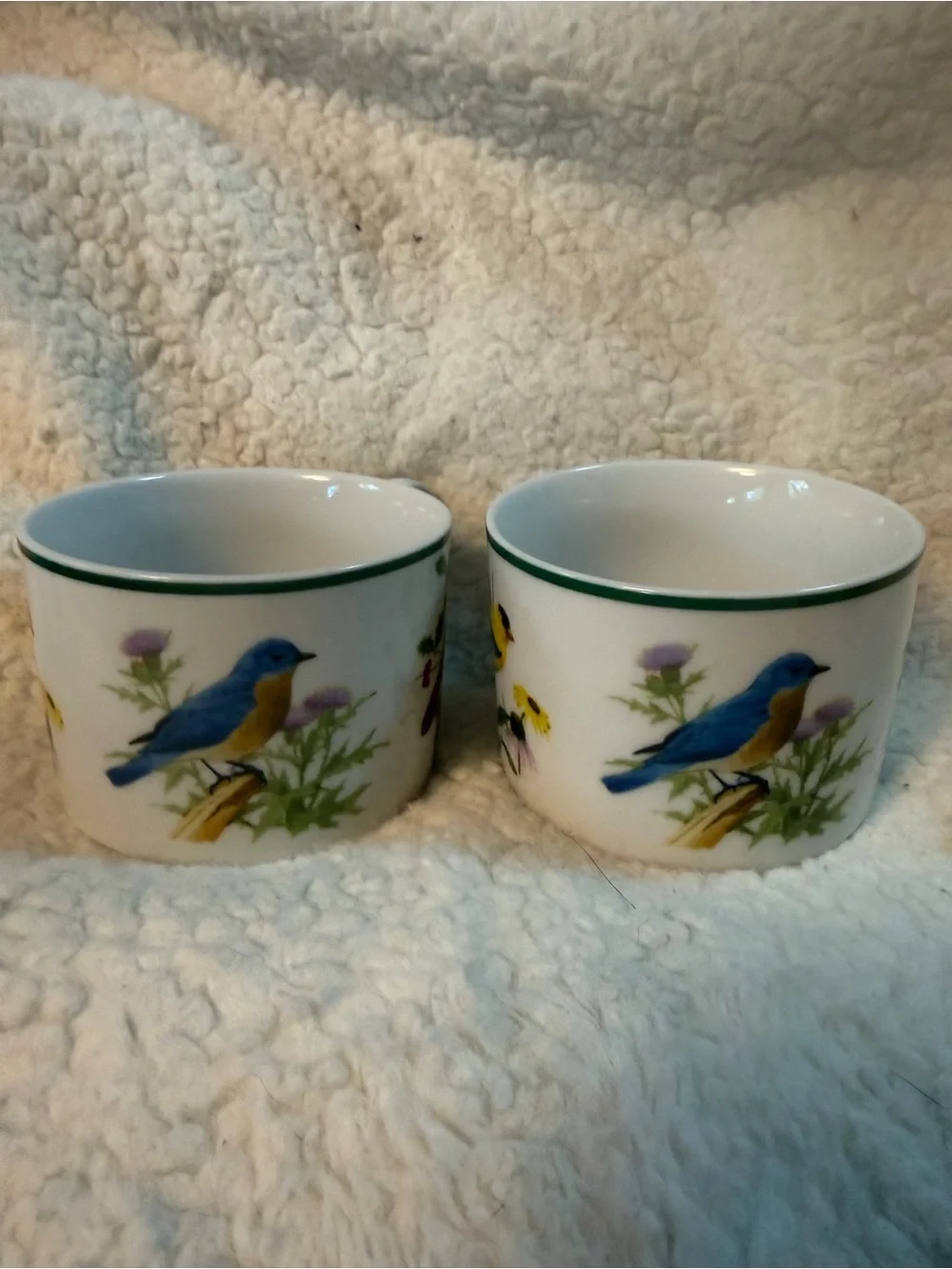 2 Vintage National Wildlife Federation “American Songbirds” Tea Cups. RARE
